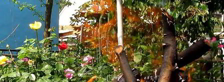 шашлык из индейки с салом. Шаг 7