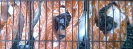 шашлык из семги на решетке. Шаг 4