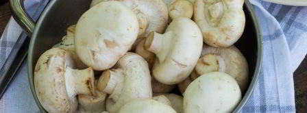 шашлык из шампиньонов на углях. Шаг 6