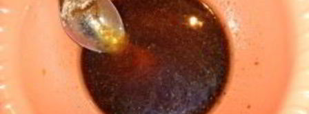 стейк голубой акулы. Шаг 4