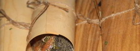 стейки форели в гриль-бумаге на мангале. Шаг 4