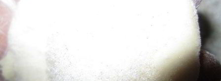 паровые вареники с вишней и клубникой. Шаг 2