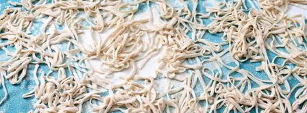 яичная лапша. Шаг 13