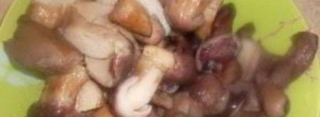 жаркое из грибов с картошкой. Шаг 3