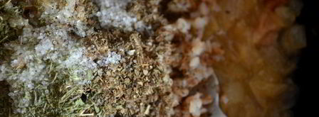 зразы с гречневой кашей и грибами. Шаг 4