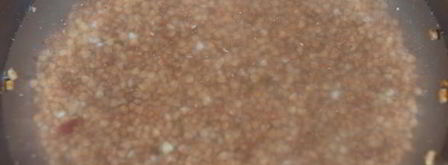 гречка по-флотски. Шаг 4