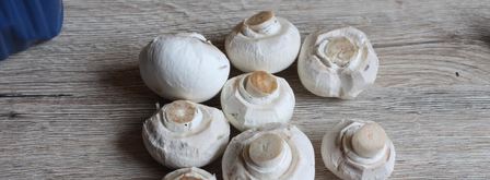 гречка с грибами и луком в мультиварке. Шаг 2