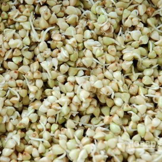 Рецепт пророщенной гречки