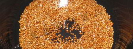 рассыпчатая гречка в мультиварке. Шаг 3