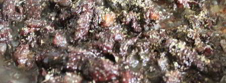 кашанка с гречкой. Шаг 5