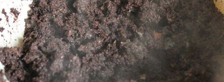 кашанка с гречкой. Шаг 8