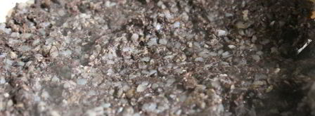 кашанка с гречкой. Шаг 10