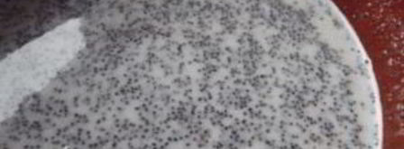 кутья с халвой. Шаг 11