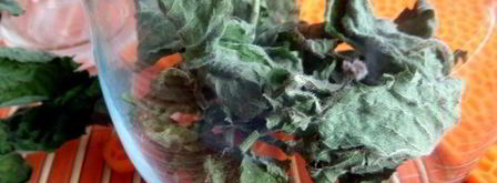 бруснично-ромашковый чай с мятой. Шаг 2