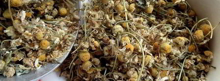 бруснично-ромашковый чай с мятой. Шаг 3