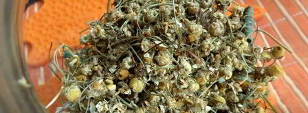 бруснично-ромашковый чай с мятой. Шаг 4