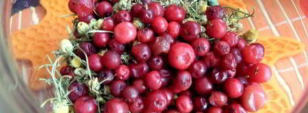 бруснично-ромашковый чай с мятой. Шаг 6