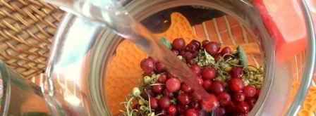 бруснично-ромашковый чай с мятой. Шаг 7