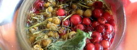 бруснично-ромашковый чай с мятой. Шаг 9