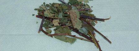 чай, ароматный и вкусный. Шаг 2