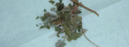 чай, ароматный и вкусный. Шаг 4