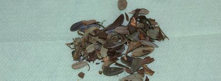 чай, ароматный и вкусный. Шаг 6