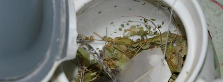 чай, ароматный и вкусный. Шаг 10