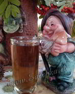 Чай из иван-чая