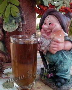 Чай из иван-чая