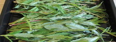 иван-чай ферментированный гранулированный. Шаг 6