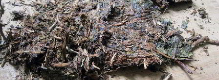 калмыкский чай. Шаг 3