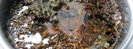 калмыкский чай. Шаг 4