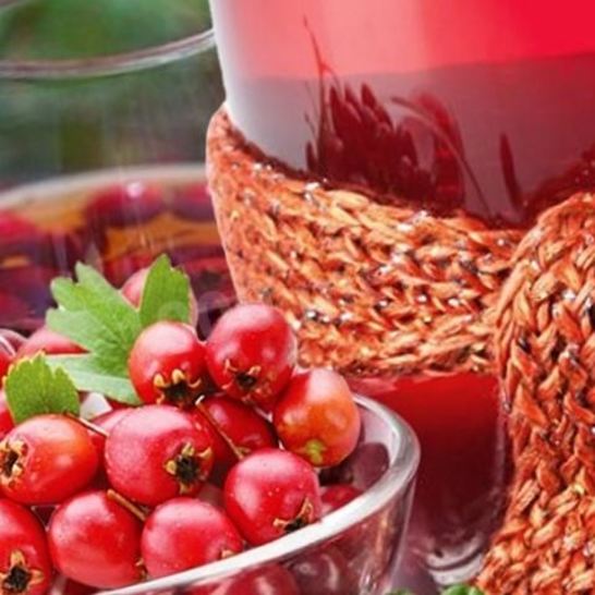 Рецепт домашнего вина из ирги