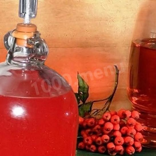 Рецепт домашнего вина из красной рябины
