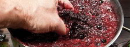 домашнее вино из ягод. Шаг 2