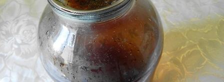 домашняя бражка из варенья. Шаг 3