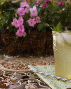 Имбирный эль