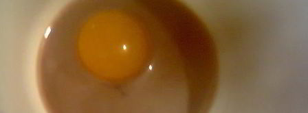 коктейль шоколадный. Шаг 5