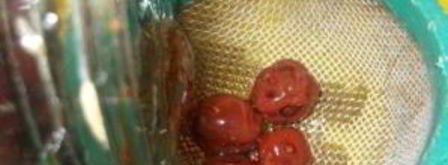 вишневый ликер. Шаг 5