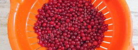 брусничный морс. Шаг 3