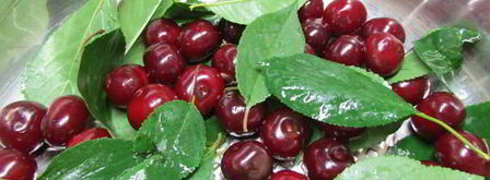 вишневая наливка. Шаг 2