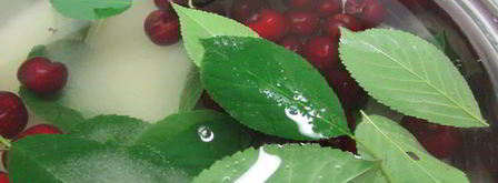 вишневая наливка. Шаг 4