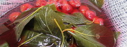 вишневая наливка. Шаг 5