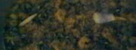 сироп из одуванчиков. Шаг 2