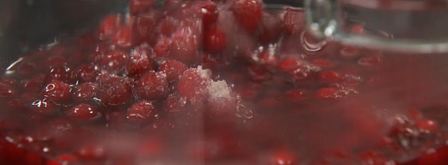 ленивые апельсиновые вареники с брусничным соусом и апельсиновым смузи. Шаг 2