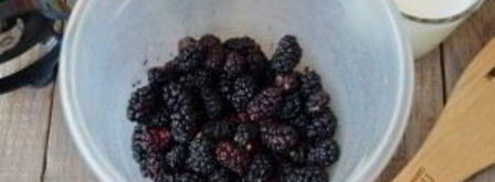 смузи с шелковицей. Шаг 2