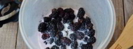 смузи с шелковицей. Шаг 3