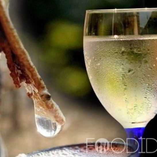 Рецепт вина из березового сока