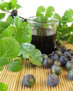 Вино из терновника