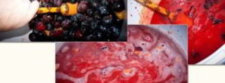 вино из терновника. Шаг 2